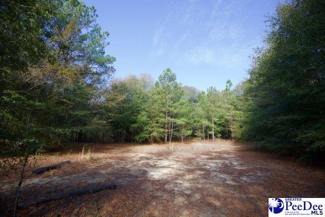 Listing photo 2 for TBD Goose Pond Ln Unit 1, Florence SC 29506