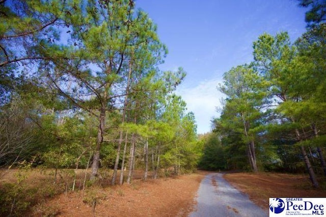 TBD Goose Pond Ln Unit 1, Florence SC, 29506 land for sale