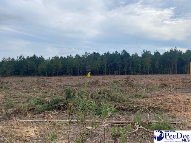 LOT1-C Daniels Ln, Bennettsville SC, 29512 land for sale