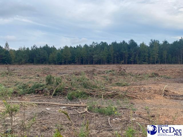 Listing photo 2 for LOT1-C Daniels Ln, Bennettsville SC 29512