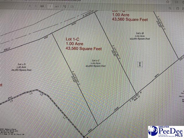 Listing photo 3 for LOT1-C Daniels Ln, Bennettsville SC 29512