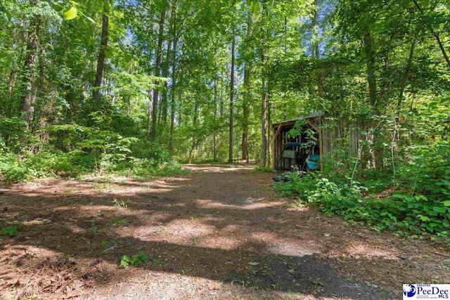 view of yard featuring a view of trees