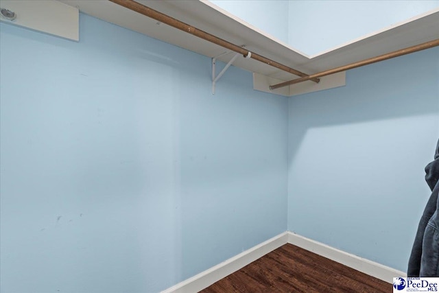 spacious closet featuring dark wood finished floors