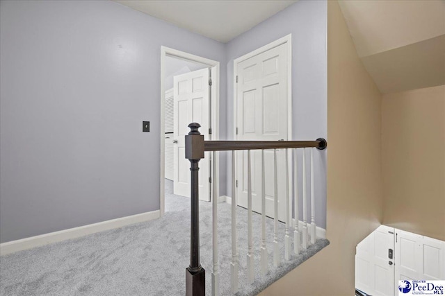 stairway featuring baseboards and carpet flooring
