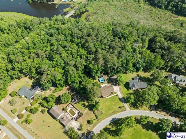 bird's eye view with a water view and a view of trees