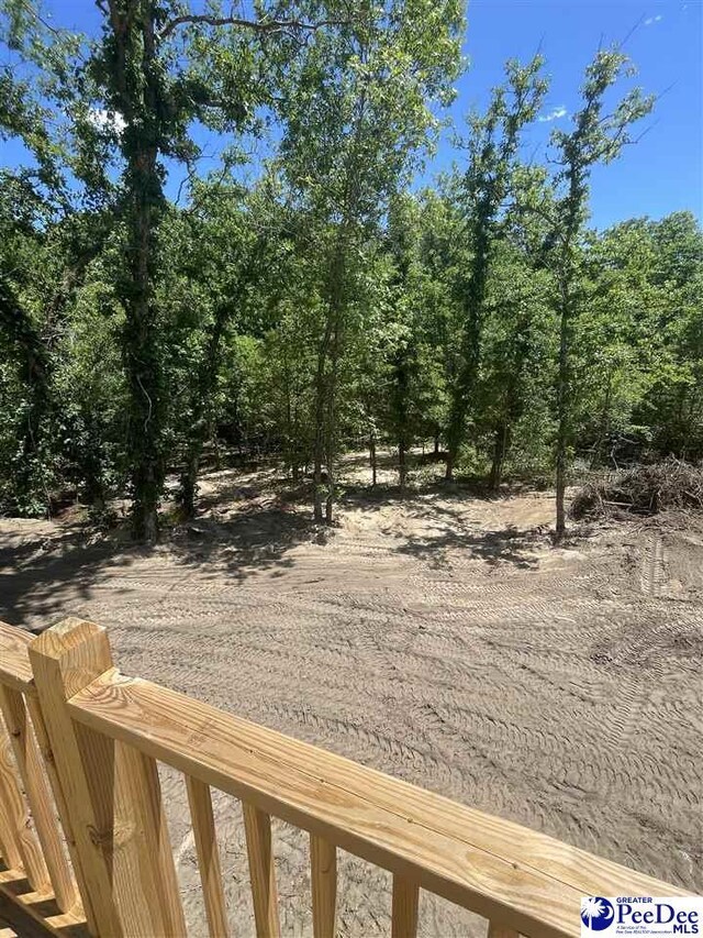 51 Boyd Ln, Cheraw, SC 25920 - view of yard