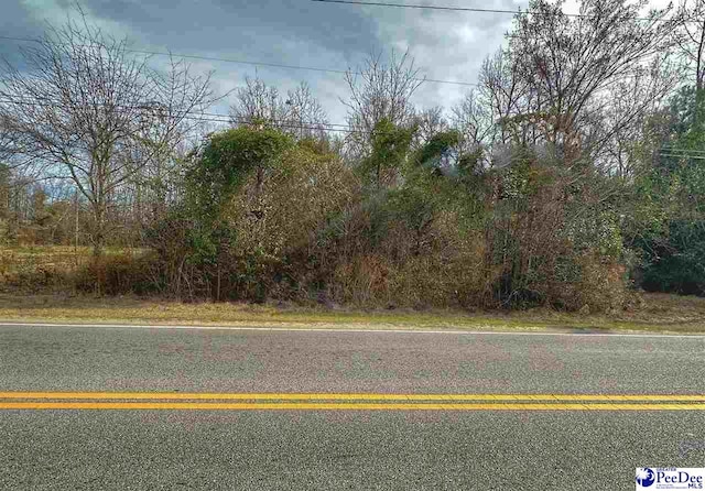 Listing photo 2 for LOT3 W Main St, Dillon SC 29536