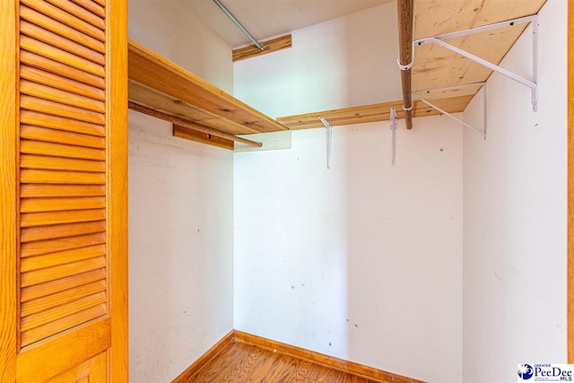 walk in closet with wood-type flooring