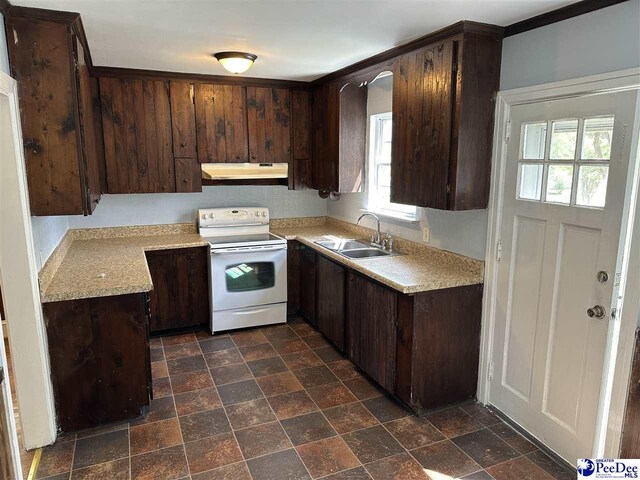 kitchen featuring white electric range, sink, and dark brown cabinets