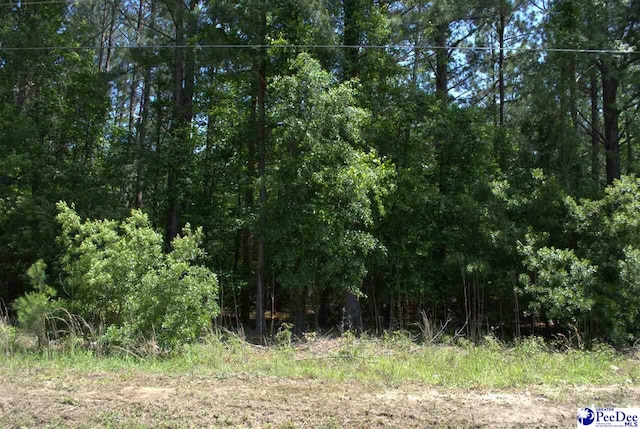 5252 Heyward Rd, Effingham, SC 29541