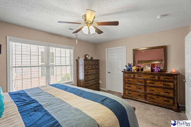 234 Woodland Rd, Cheraw, SC 29520 - photo 37