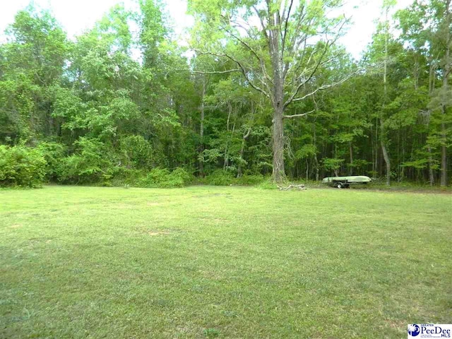 view of yard with a wooded view