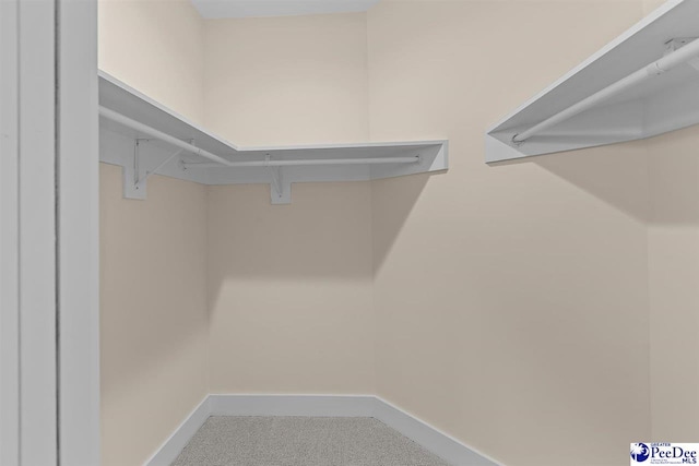 125 E Pine St, Florence, SC 29506 - walk in closet with carpet floors