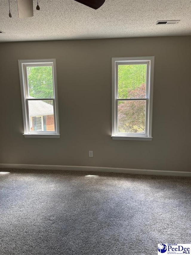 carpeted spare room featuring a textured ceiling, visible vents, a wealth of natural light, and baseboards