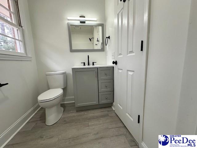 bathroom with toilet, vanity, and wood-type flooring