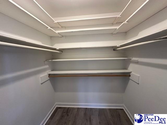 spacious closet featuring dark hardwood / wood-style flooring