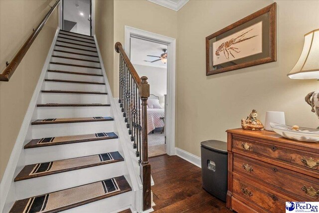 3111 Cheshire Ln, Florence, SC 29501 - stairs with hardwood / wood-style floors, a ceiling fan, baseboards, and ornamental molding