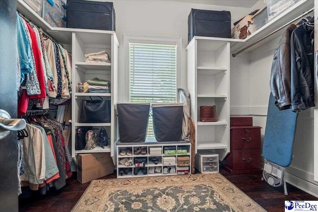 3111 Cheshire Ln, Florence, SC 29501 - walk in closet with wood finished floors