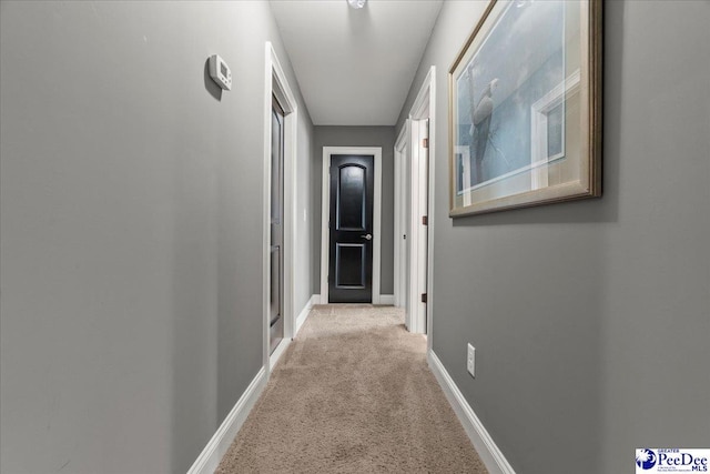 3111 Cheshire Ln, Florence, SC 29501 - corridor with baseboards and carpet