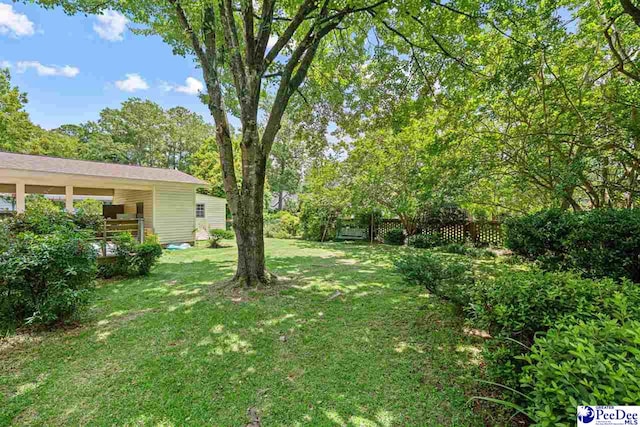 1110 Dunvegan Rd, Florence, SC 29501 - view of yard
