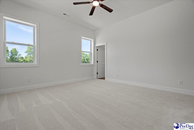 850 Timmons Rd, Timmonsville, SC 29161 - photo 46