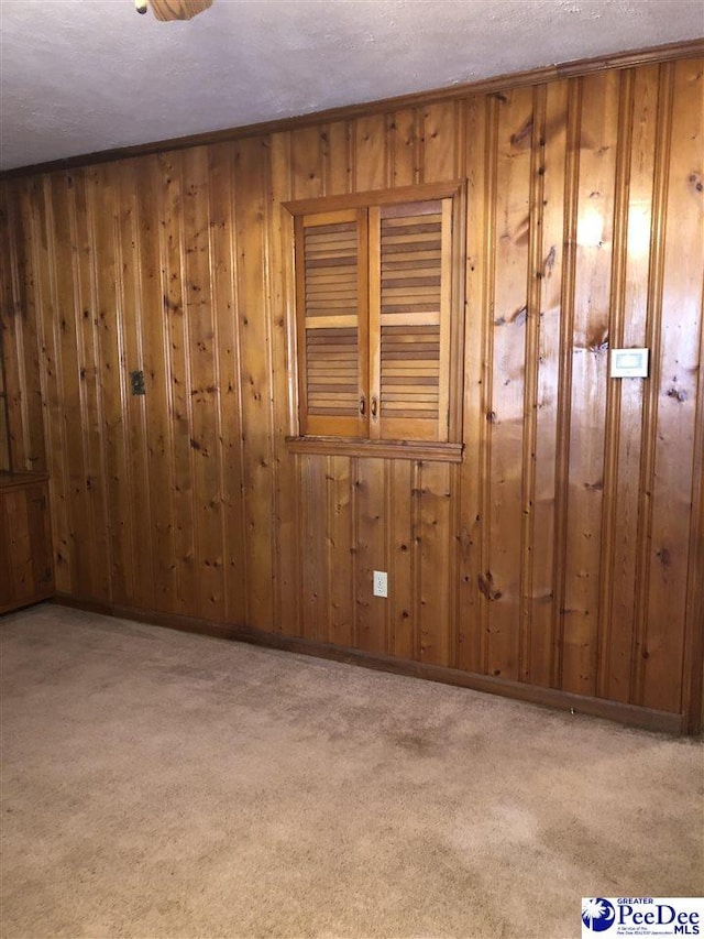 empty room featuring a textured ceiling, carpet floors, and wooden walls