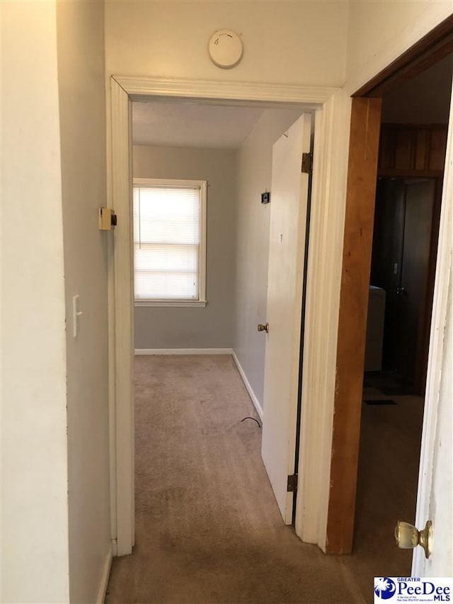 corridor with carpet and baseboards