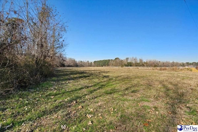 10630 Hemingway Hwy Unit Sc-261, Kingstree SC, 29556 land for sale