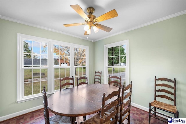 dining space with ornamental molding and ceiling fan