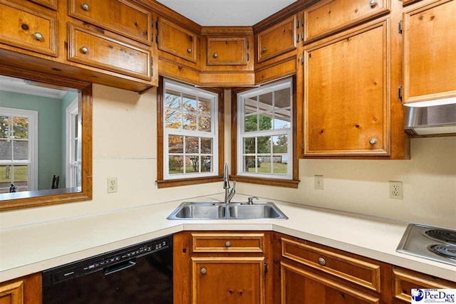 kitchen featuring plenty of natural light, black dishwasher, sink, and electric stovetop