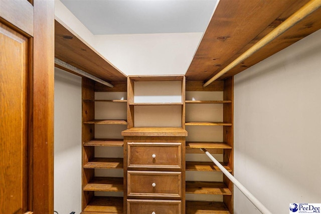 view of spacious closet