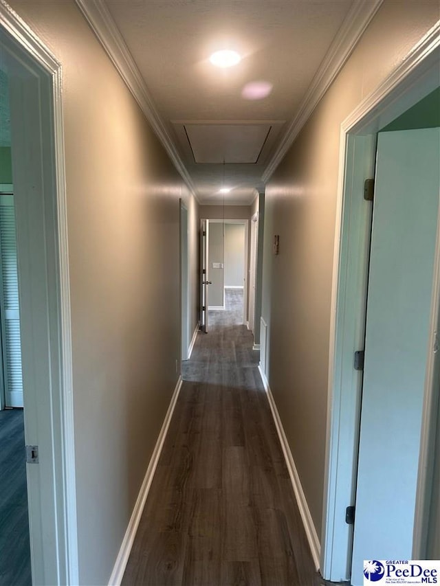 corridor with ornamental molding and dark hardwood / wood-style flooring