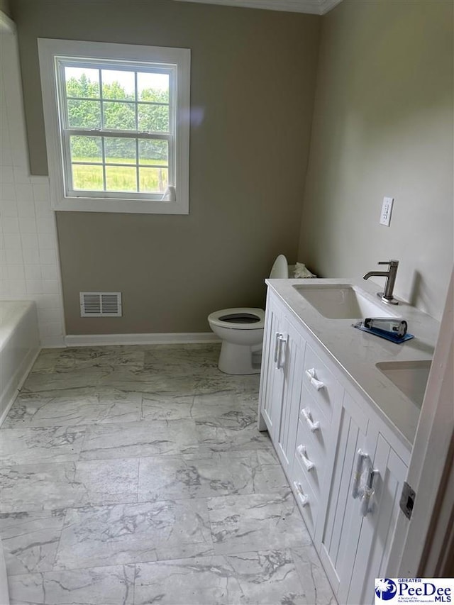 bathroom with vanity, a tub, and toilet