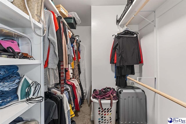 3209 Haven Straits, Florence, SC 29505 - walk in closet with carpet