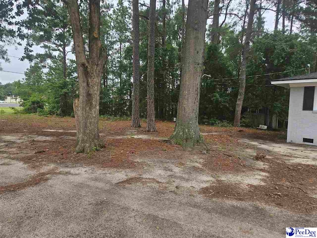 314 E Country Club Dr, Dillon, SC 29536 - photo 18