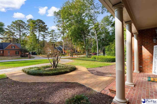 2675 Trotter Rd, Florence, SC 29501 - photo 42