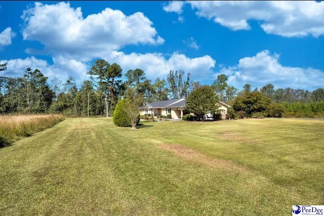101 E Claff Cir, Lake City, SC 29501 - view of yard
