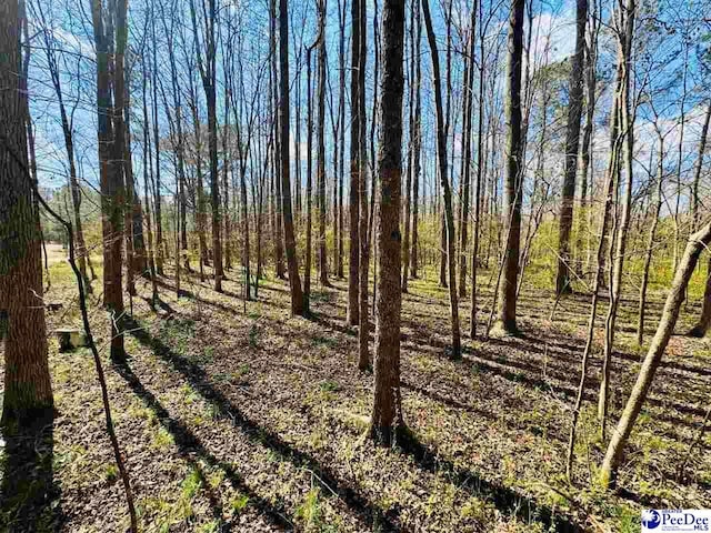 Sherrill Rd, Wallace, SC 29596 - photo 1