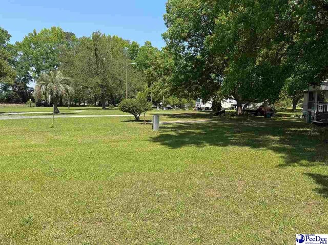 107 Wallace Park Ln, Darlington, SC 29540 - photo 7