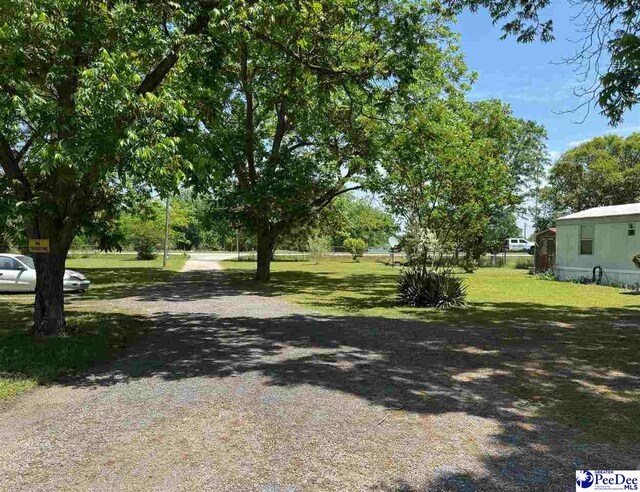 107 Wallace Park Ln, Darlington, SC 29540 - photo 11