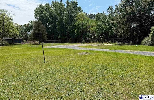 107 Wallace Park Ln, Darlington, SC 29540 - photo 4