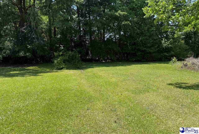 107 Wallace Park Ln, Darlington, SC 29540 - photo 14