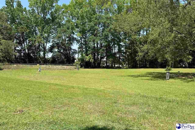 107 Wallace Park Ln, Darlington, SC 29540 - photo 1