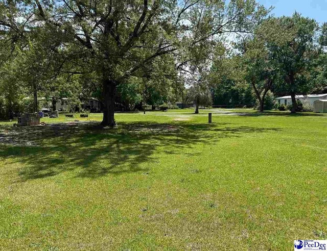 107 Wallace Park Ln, Darlington, SC 29540 - photo 10