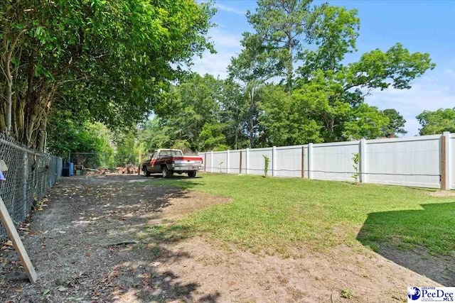 100 Mckellar St, Bennettsville, SC 29512 - view of yard