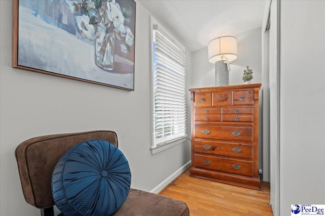 100 Mckellar St, Bennettsville, SC 29512 - living area featuring light wood-type flooring and baseboards