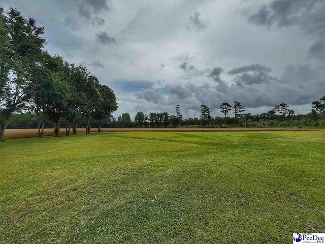 148 High Hill Rd, Lake View, SC 29563 - view of green lawn