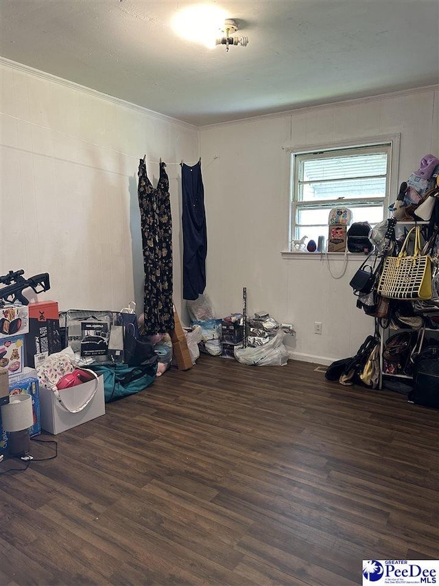 miscellaneous room featuring dark wood-type flooring