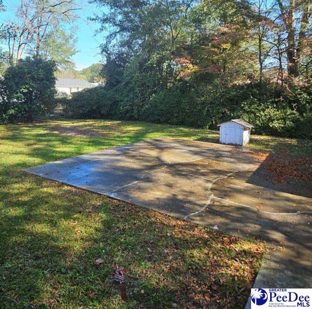 view of patio / terrace with a storage shed