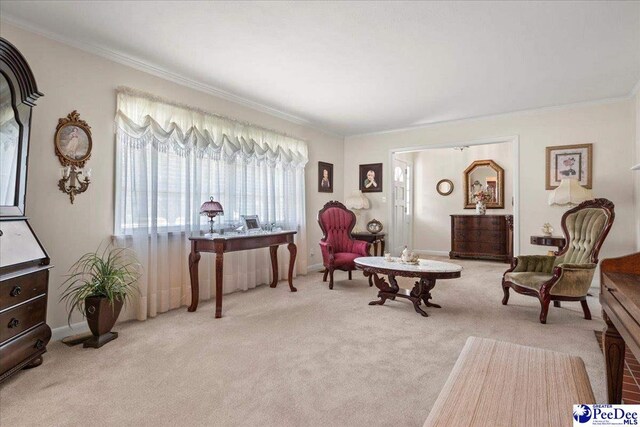 2338 W Mccown Dr, Florence, SC 29501 - sitting room with light colored carpet and crown molding